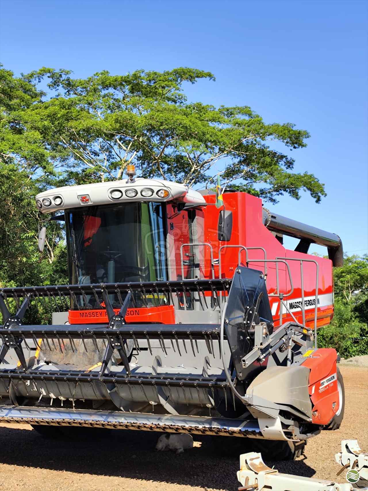 COLHEITADEIRA MASSEY FERGUSON MF 4690 SARF Soluções Agrícolas UBERLANDIA MINAS GERAIS MG